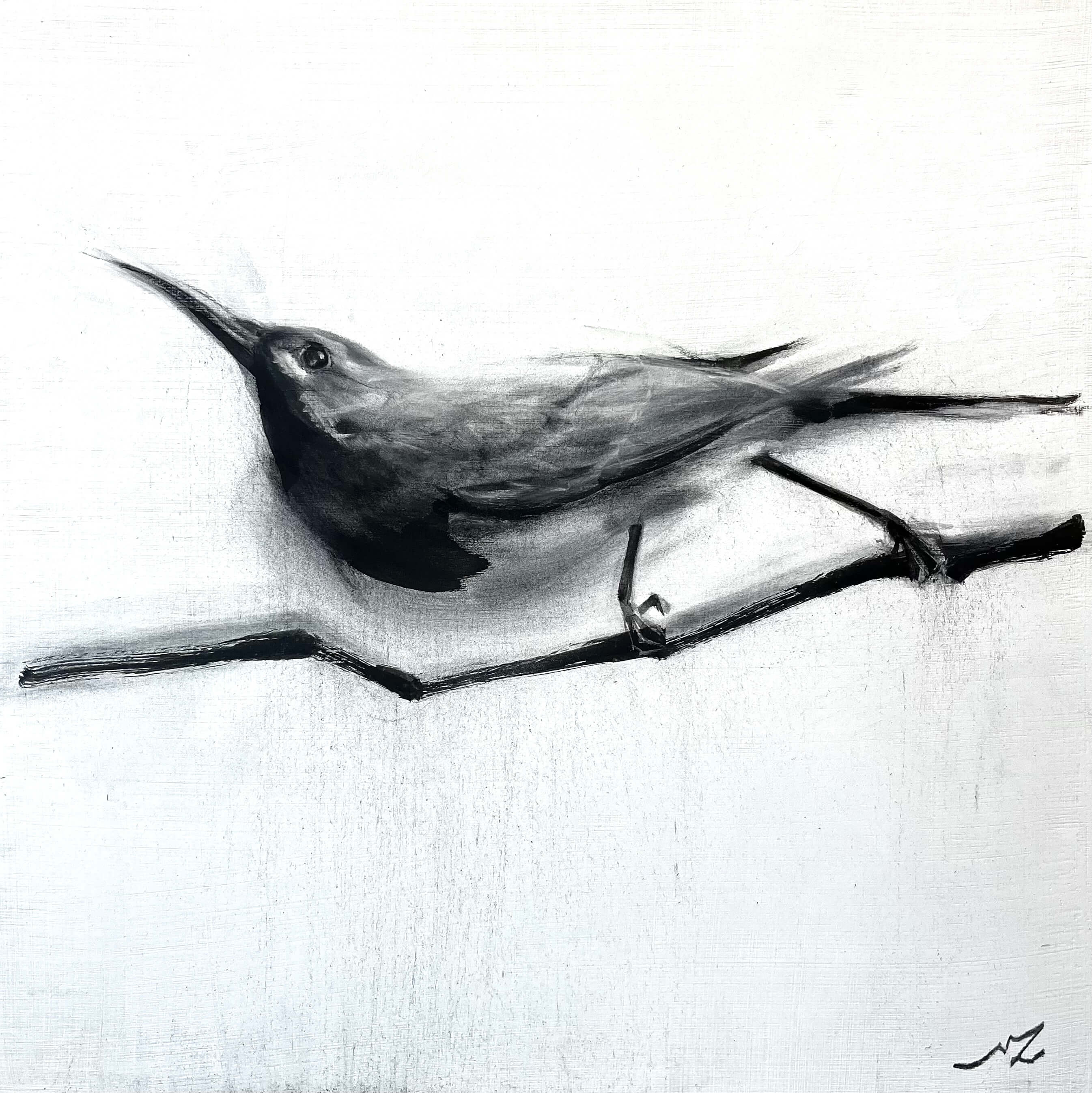 animalia artist Australia portrait Melbourne charcoal